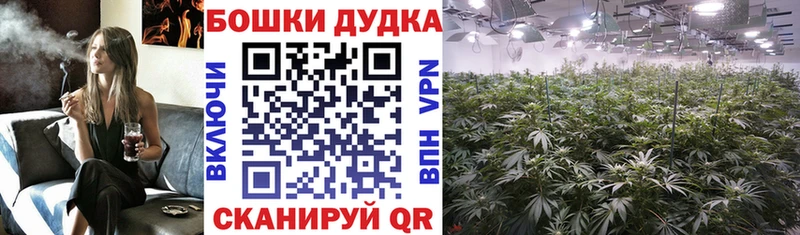 Сколько стоит Новосокольники мега ссылка  МАРИХУАНА  MDMA  Галлюциногенные грибы  Гашиш  Меф мяу мяу  COCAIN 