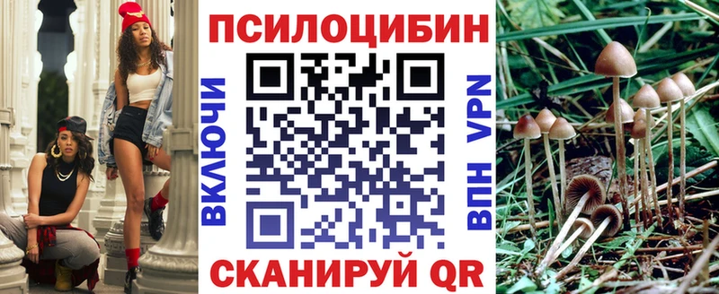 Галлюциногенные грибы мицелий  Новосокольники 