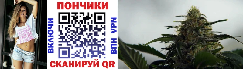 купить закладку  Новосокольники  Бошки Шишки Amnesia 